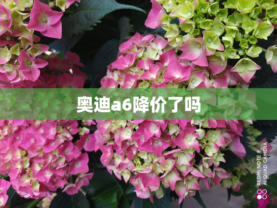 奥迪a6降价了吗