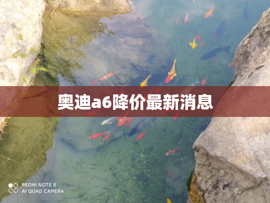 奥迪a6降价最新消息