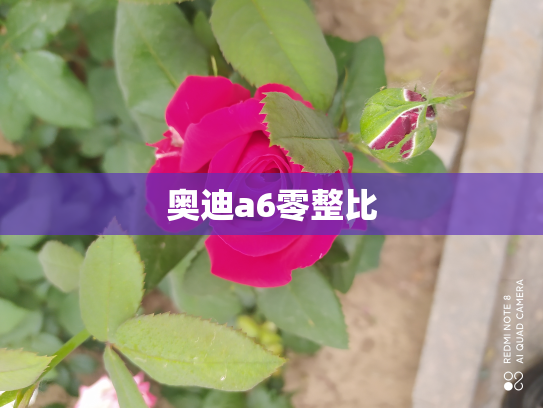 奥迪a6零整比