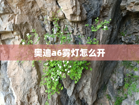 奥迪a6雾灯怎么开
