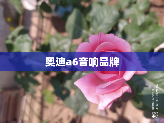 奥迪a6音响品牌