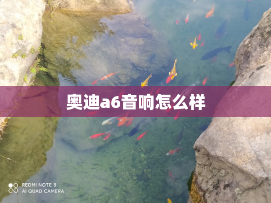 奥迪a6音响怎么样