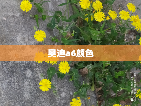 奥迪a6颜色