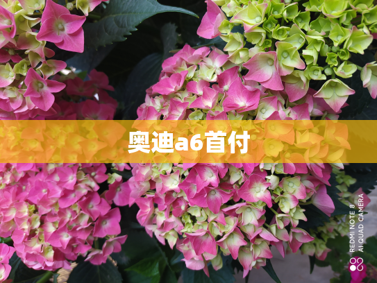 奥迪a6首付