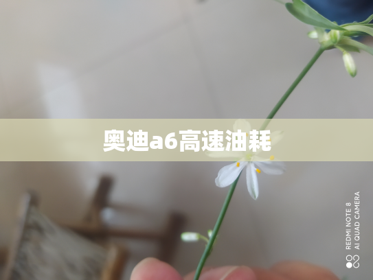 奥迪a6高速油耗