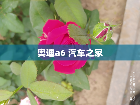 奥迪a6 汽车之家