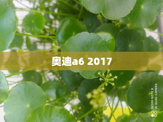 奥迪a6 2017
