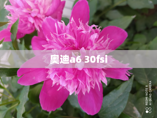 奥迪a6 30fsi