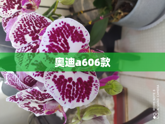 奥迪a606款