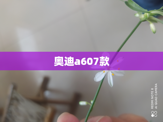 奥迪a607款