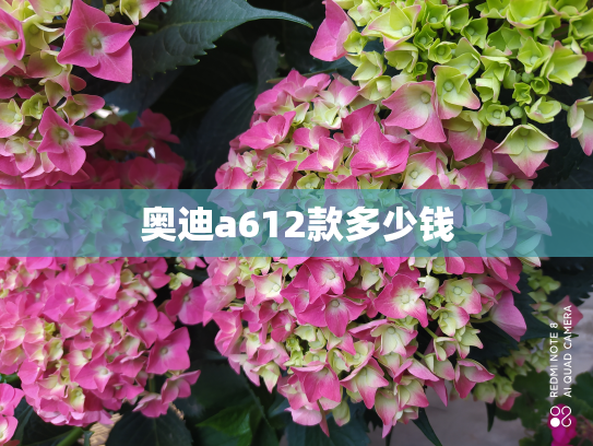 奥迪a612款多少钱