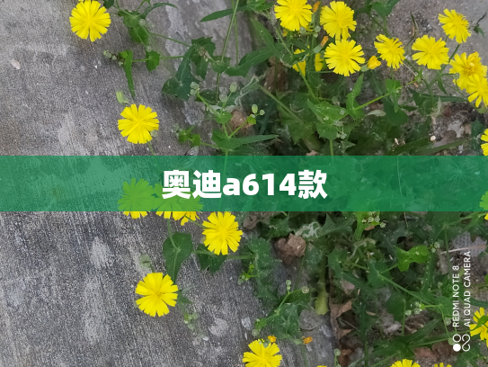 奥迪a614款