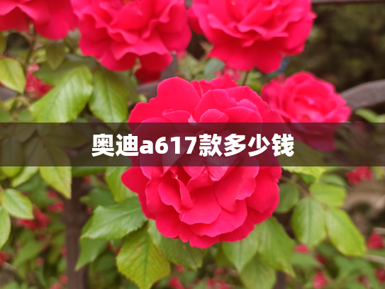 奥迪a617款多少钱