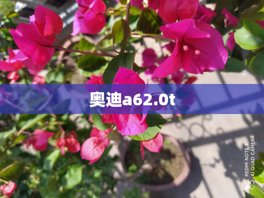 奥迪a62.0t