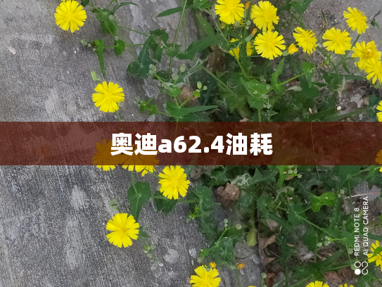 奥迪a62.4油耗