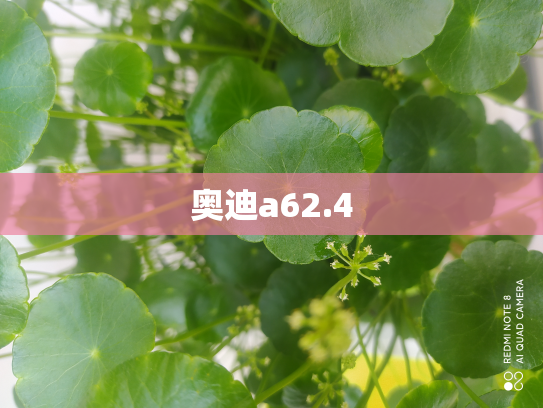 奥迪a62.4