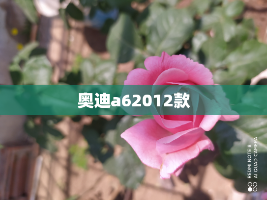 奥迪a62012款