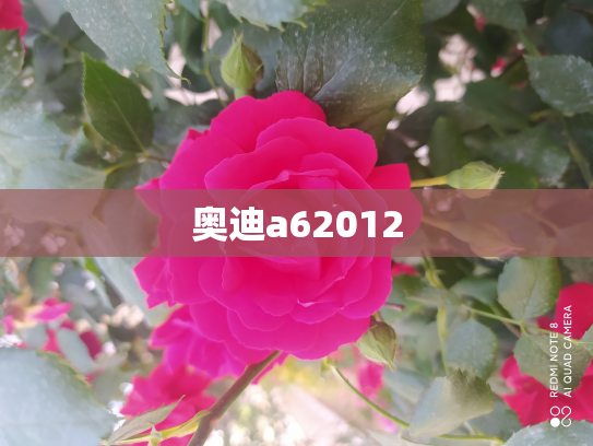 奥迪a62012
