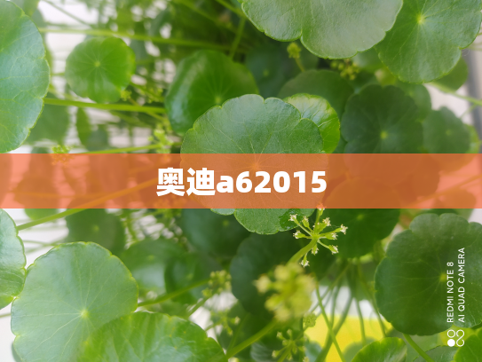 奥迪a62015