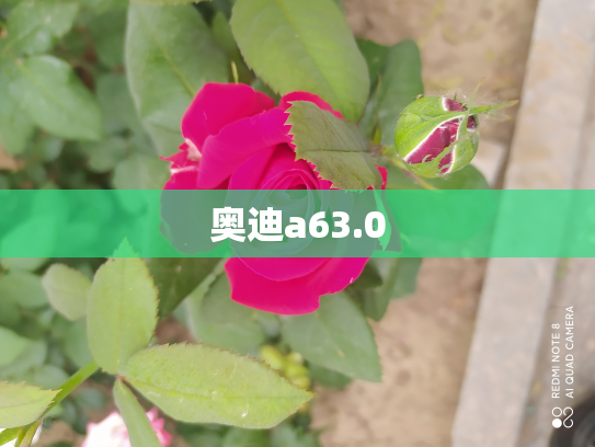 奥迪a63.0