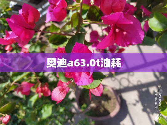 奥迪a63.0t油耗