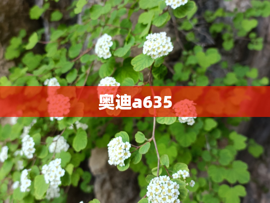 奥迪a635