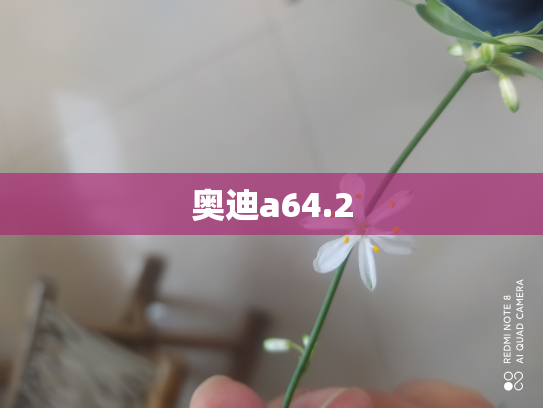 奥迪a64.2