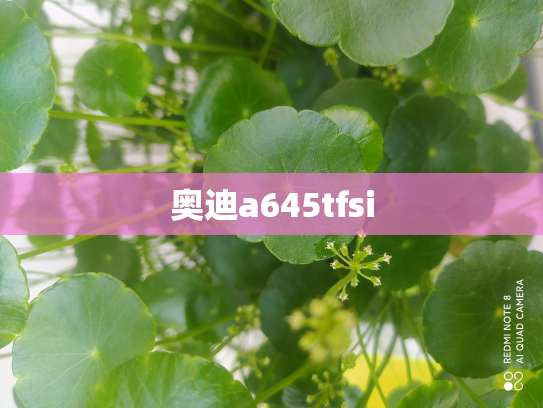 奥迪a645tfsi