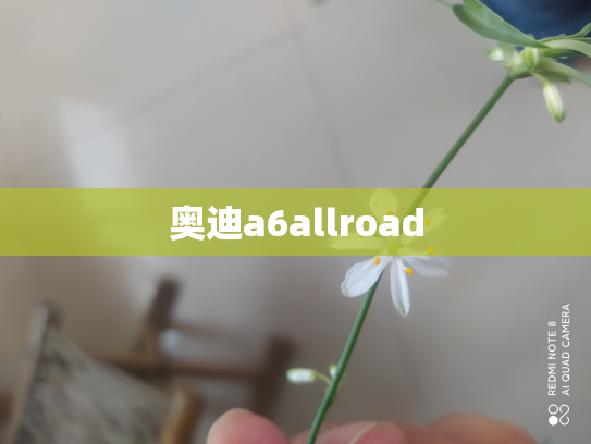 奥迪a6allroad