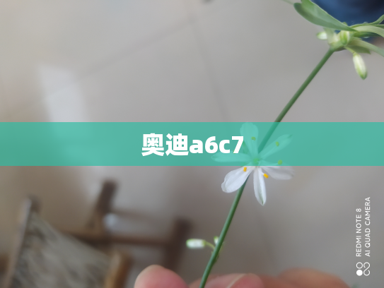 奥迪a6c7