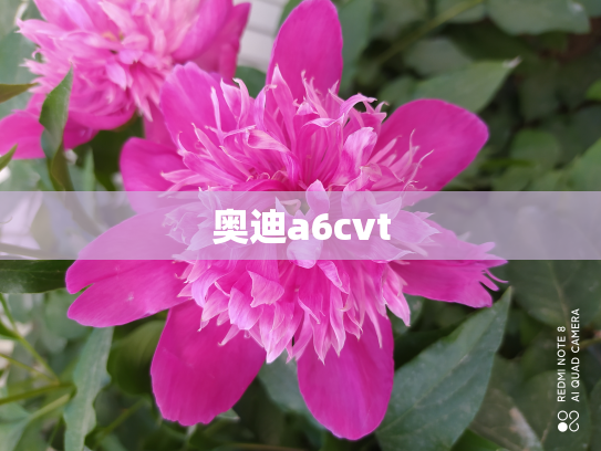 奥迪a6cvt
