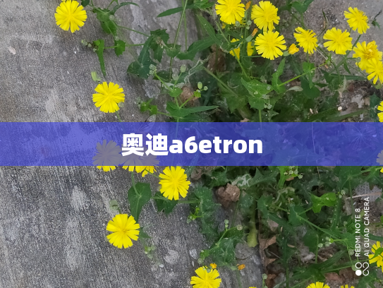 奥迪a6etron