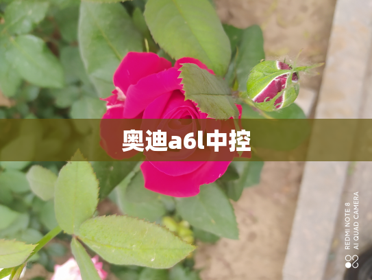 奥迪a6l中控