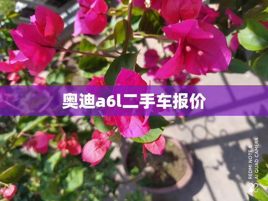 奥迪a6l二手车报价