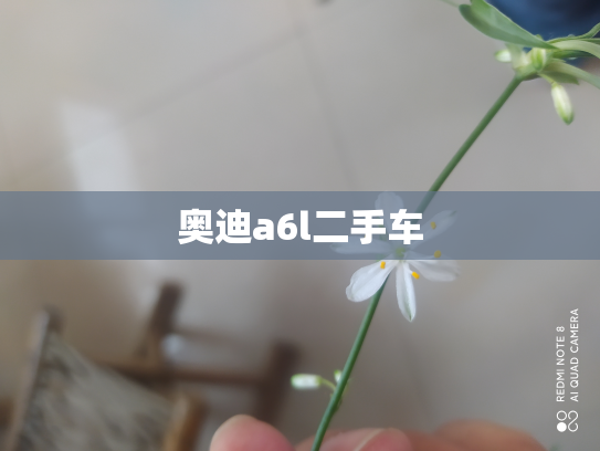 奥迪a6l二手车