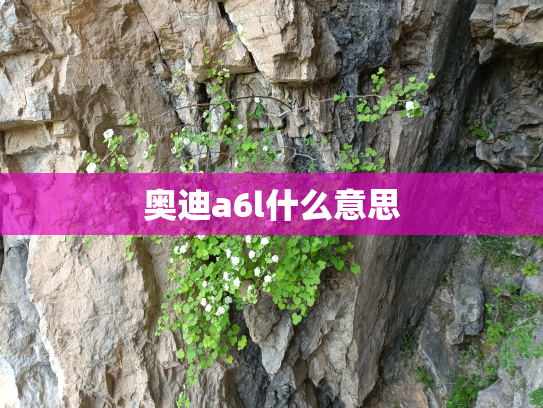 奥迪a6l什么意思