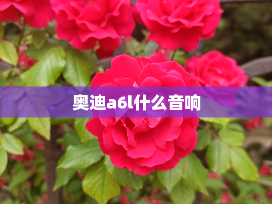奥迪a6l什么音响