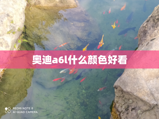 奥迪a6l什么颜色好看