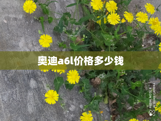 奥迪a6l价格多少钱