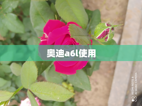 奥迪a6l使用