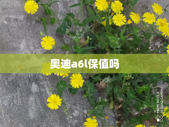 奥迪a6l保值吗