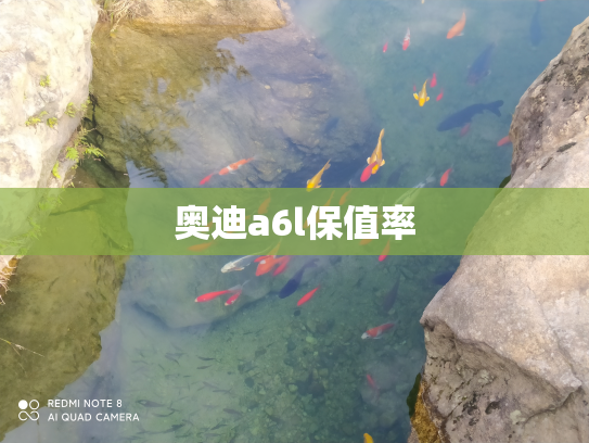 奥迪a6l保值率