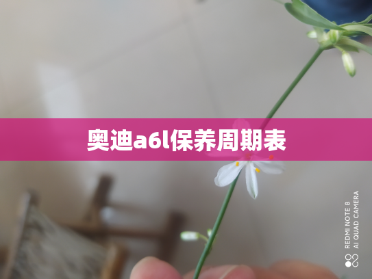 奥迪a6l保养周期表