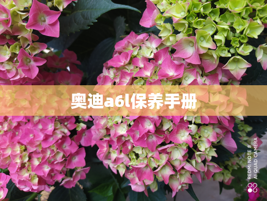 奥迪a6l保养手册
