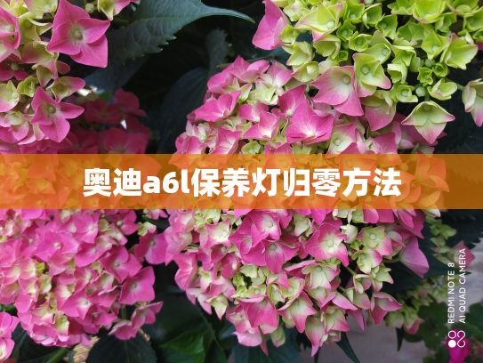 奥迪a6l保养灯归零方法