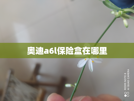 奥迪a6l保险盒在哪里