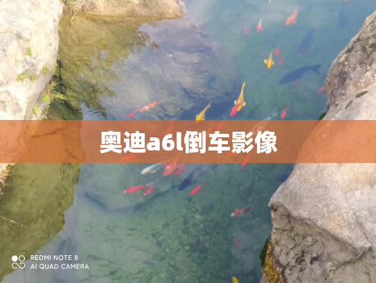奥迪a6l倒车影像