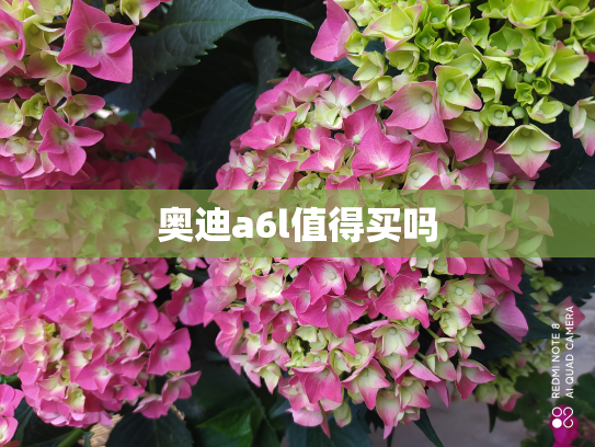 奥迪a6l值得买吗