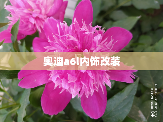 奥迪a6l内饰改装