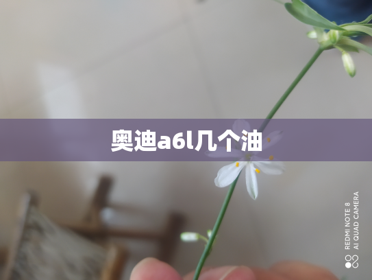 奥迪a6l几个油